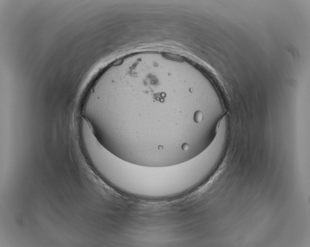 X0000111201506200907291219