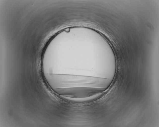 X0000111201507200907291219