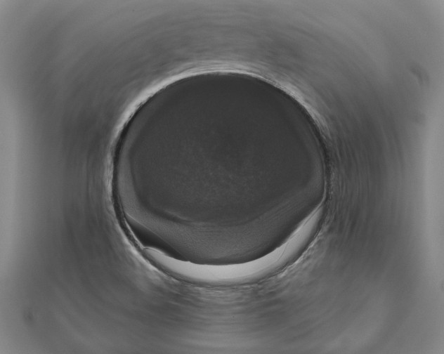 X0000111201508200907291219