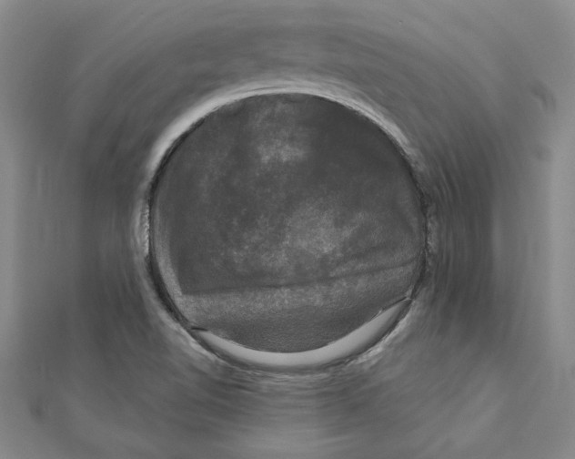 X0000111201510200907291219