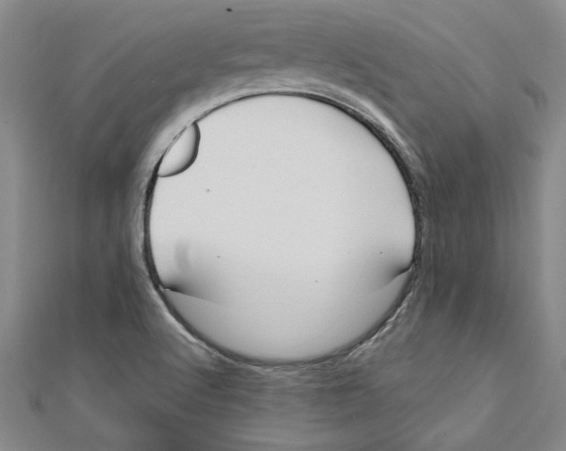 X0000111201512200907291219