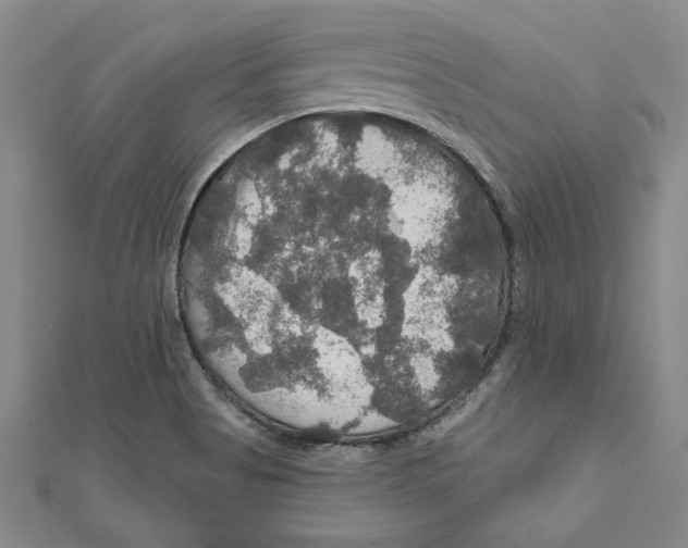 X0000111201513200907291219