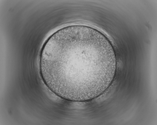 X0000111201514200907291219