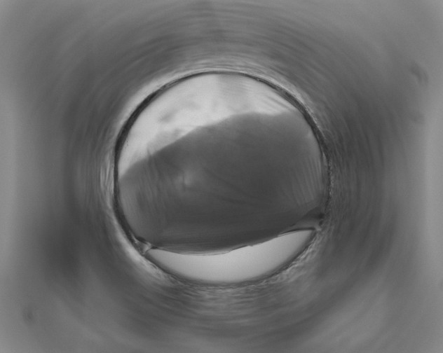 X0000111201515200907291219