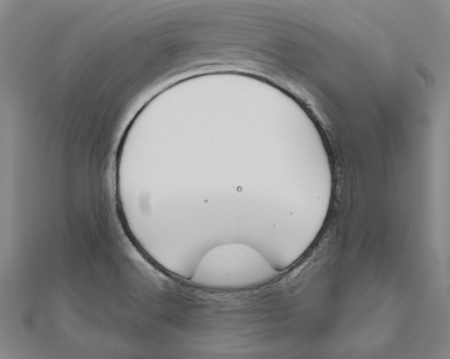 X0000111201516200907291219