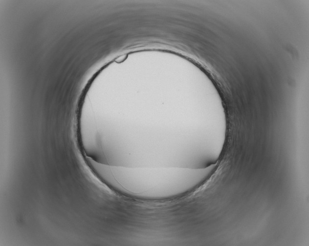 X0000111201518200907291219