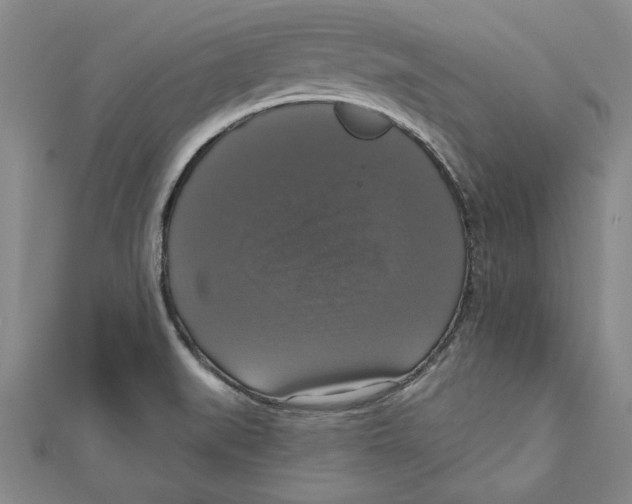 X0000111201519200907291219