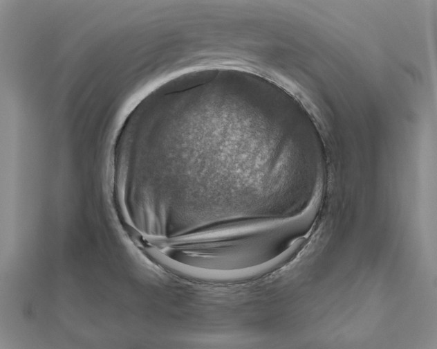 X0000111201520200907291219