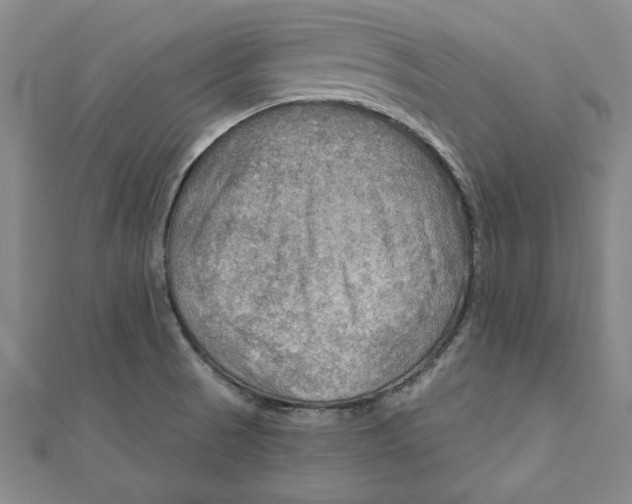 X0000111201521200907291219