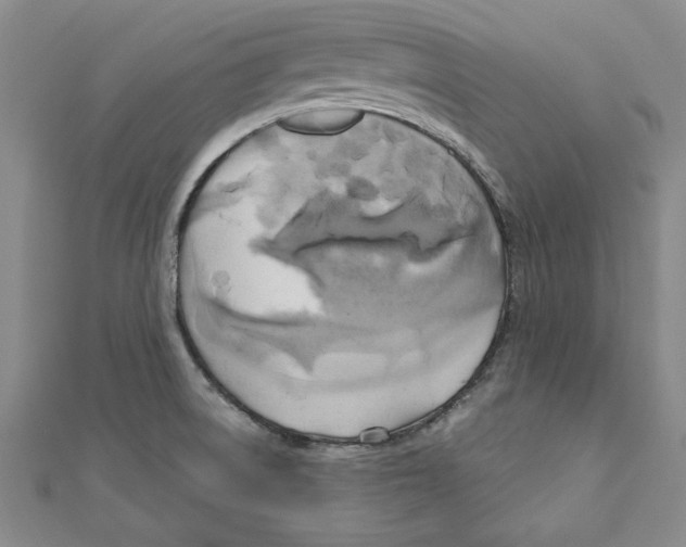 X0000111201522200907291219