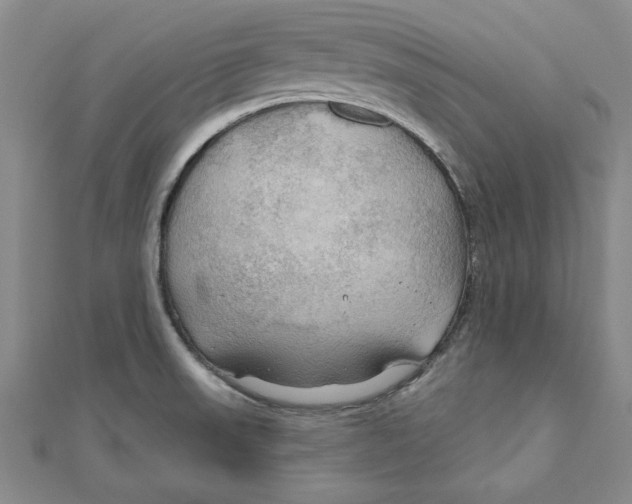 X0000111201523200907291219