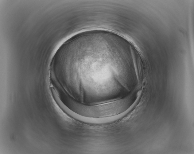 X0000111201524200907291219