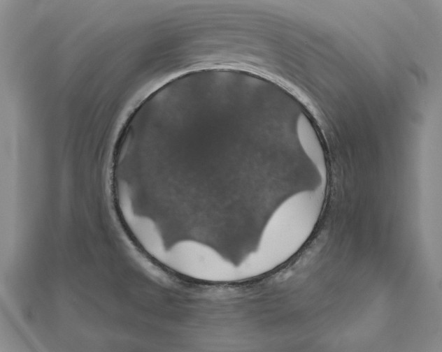 X0000111201525200907291219