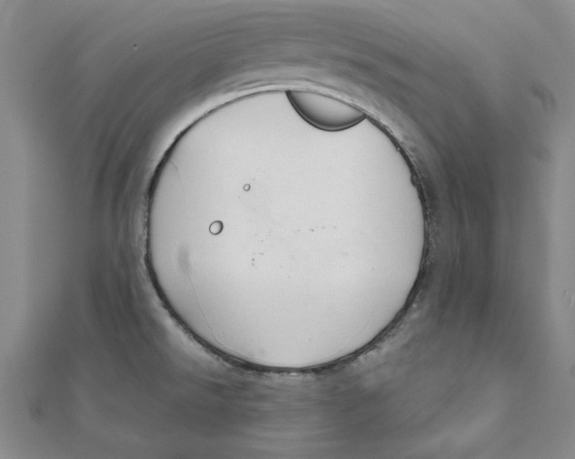 X0000111201526200907291219