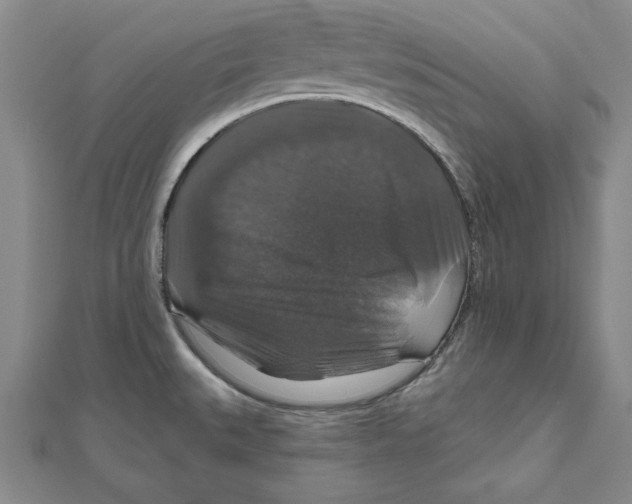 X0000111201527200907291219