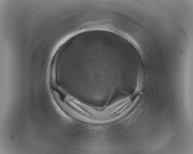 X0000111201528200907291219