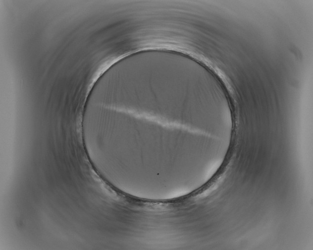 X0000111201529200907291219