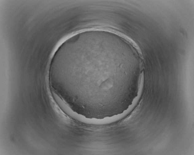 X0000111201530200907291219