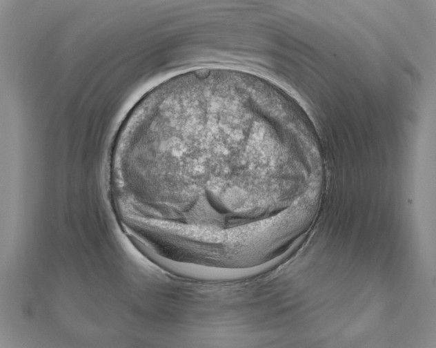 X0000111201531200907291219