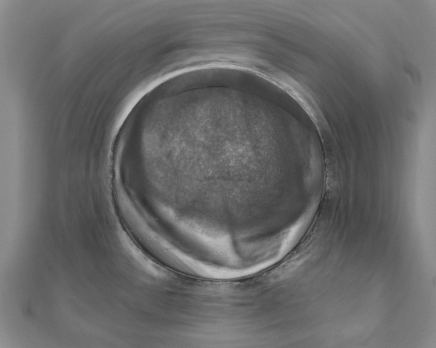 X0000111201532200907291219