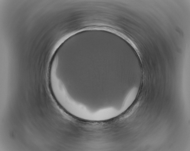 X0000111201533200907291219