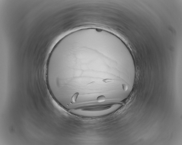 X0000111201535200907291219