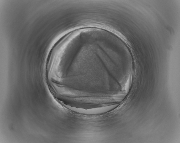 X0000111201536200907291219