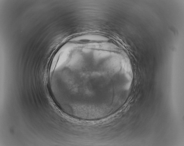 X0000111200002200908121120