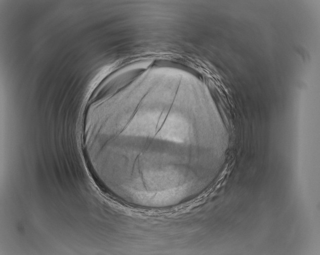 X0000111200003200908121120