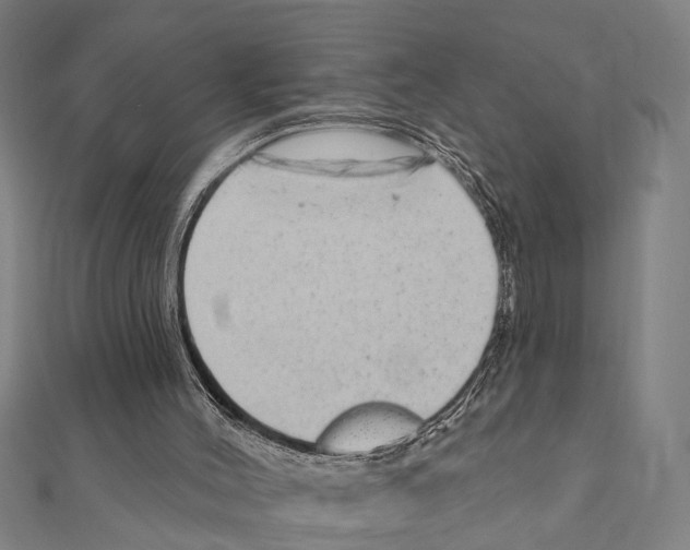 X0000111200004200908121120