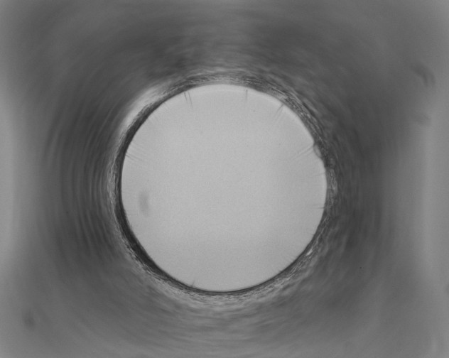 X0000111200006200908121120