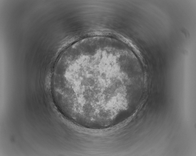 X0000111200010200908121120