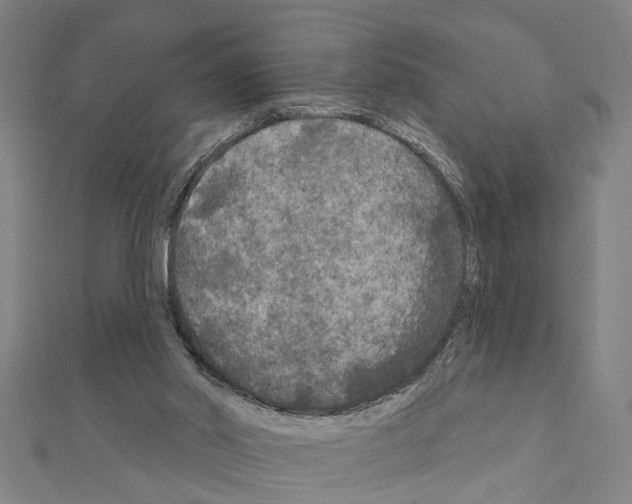 X0000111200014200908121120