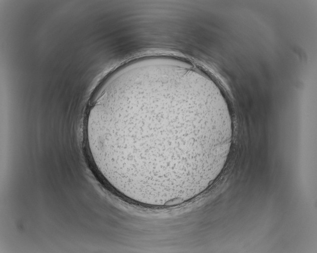 X0000111200015200908121120