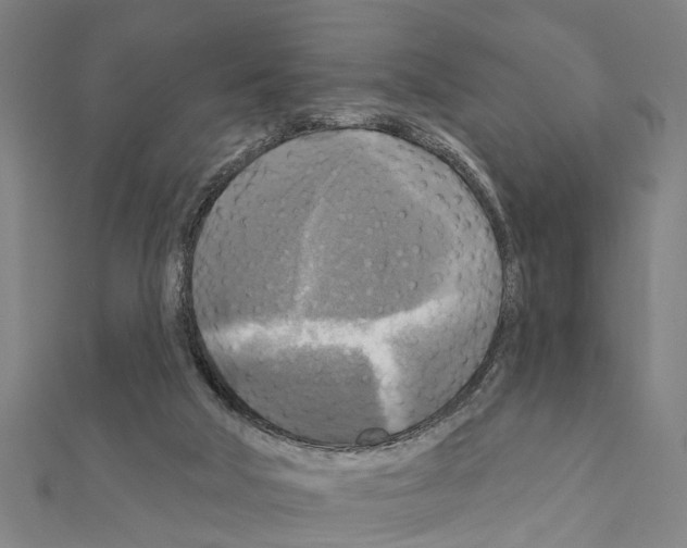 X0000111200018200908121120