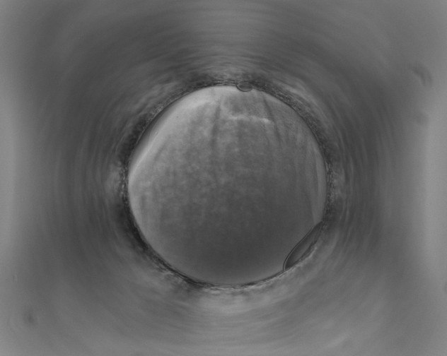 X0000111200029200908121120