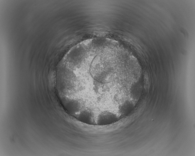 X0000111200034200908121120