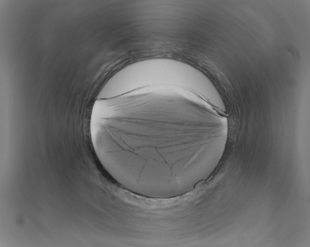 X0000111200035200908121120