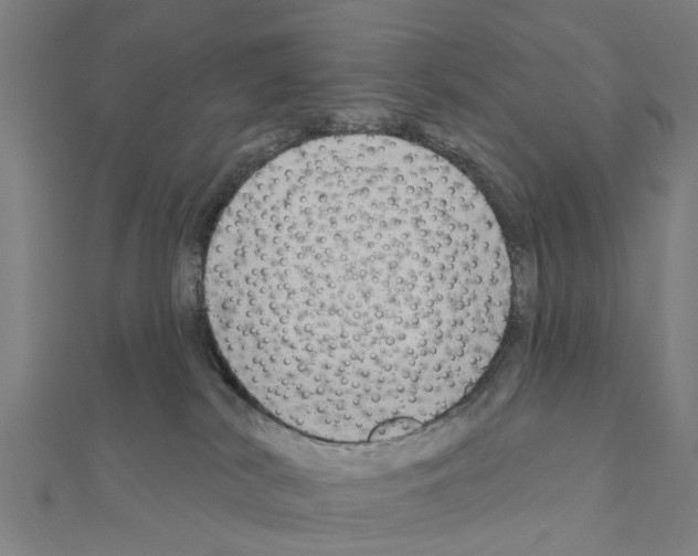 X0000111200038200908121120