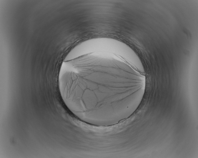 X0000111200039200908121120