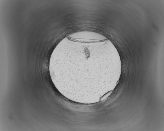 X0000111200040200908121120