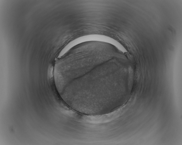 X0000111200041200908121120