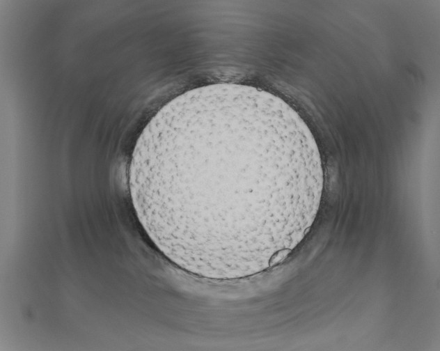 X0000111200042200908121120