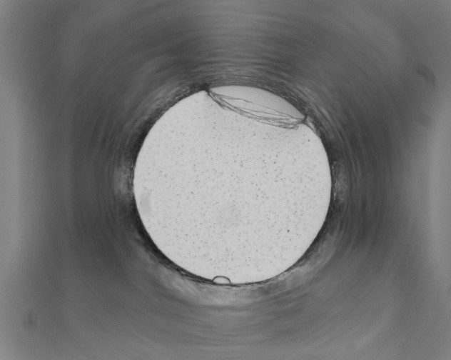 X0000111200044200908121120