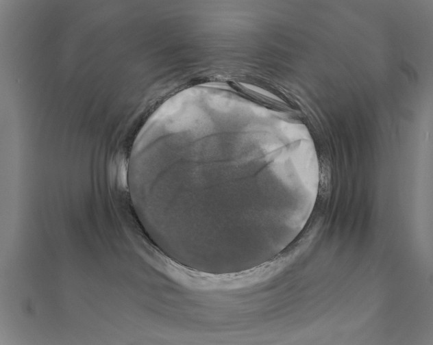 X0000111200046200908121120