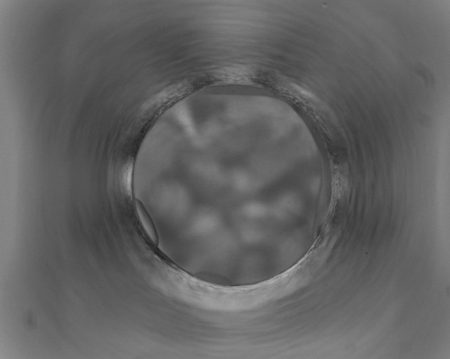 X0000111200047200908121120