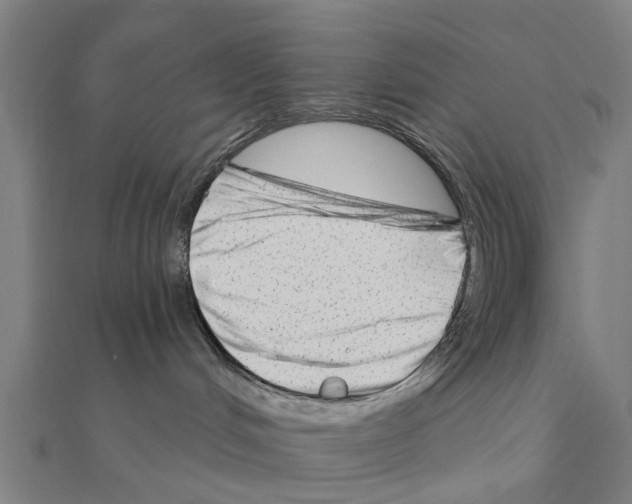 X0000111200048200908121120