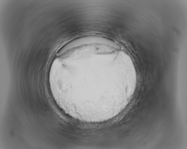 X0000111200049200908121119