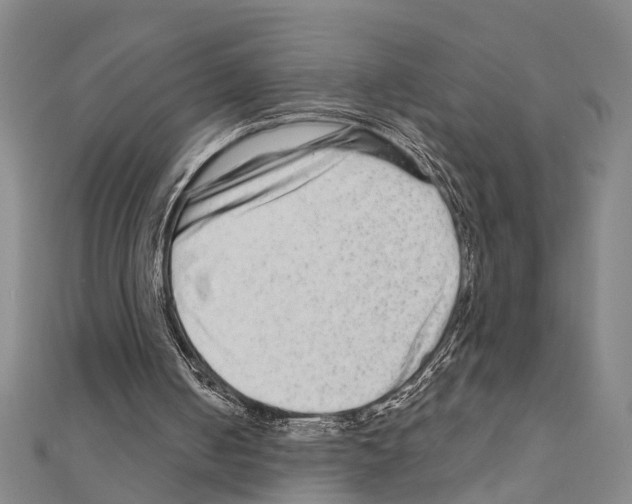 X0000111200050200908121119