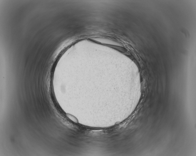 X0000111200054200908121119